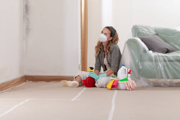 Reliable Mold Inspection And Testing contractor in McQueeney, TX by 24 Hour Mold Removal